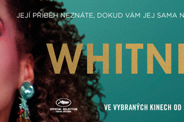Seznam kin hrajících Whitney
