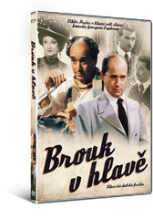 Brouk v hlavě