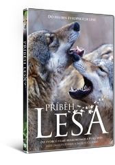 Příběh lesa